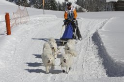 Kandersteg 2013